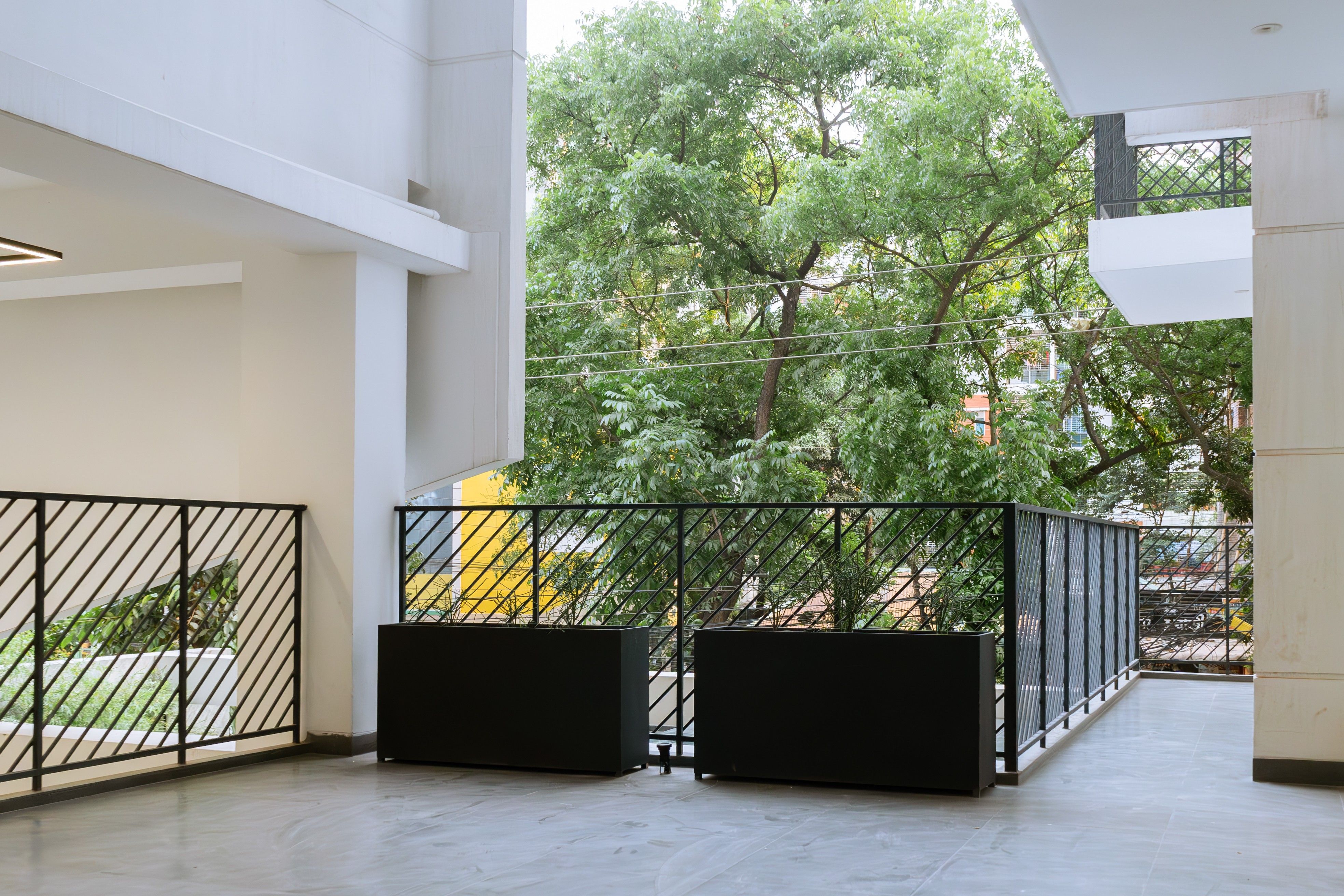 Angelonia By Navana — Official project gallery visual 3