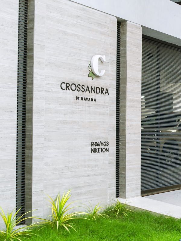 Crossandra By Navana — Official project alternate visual