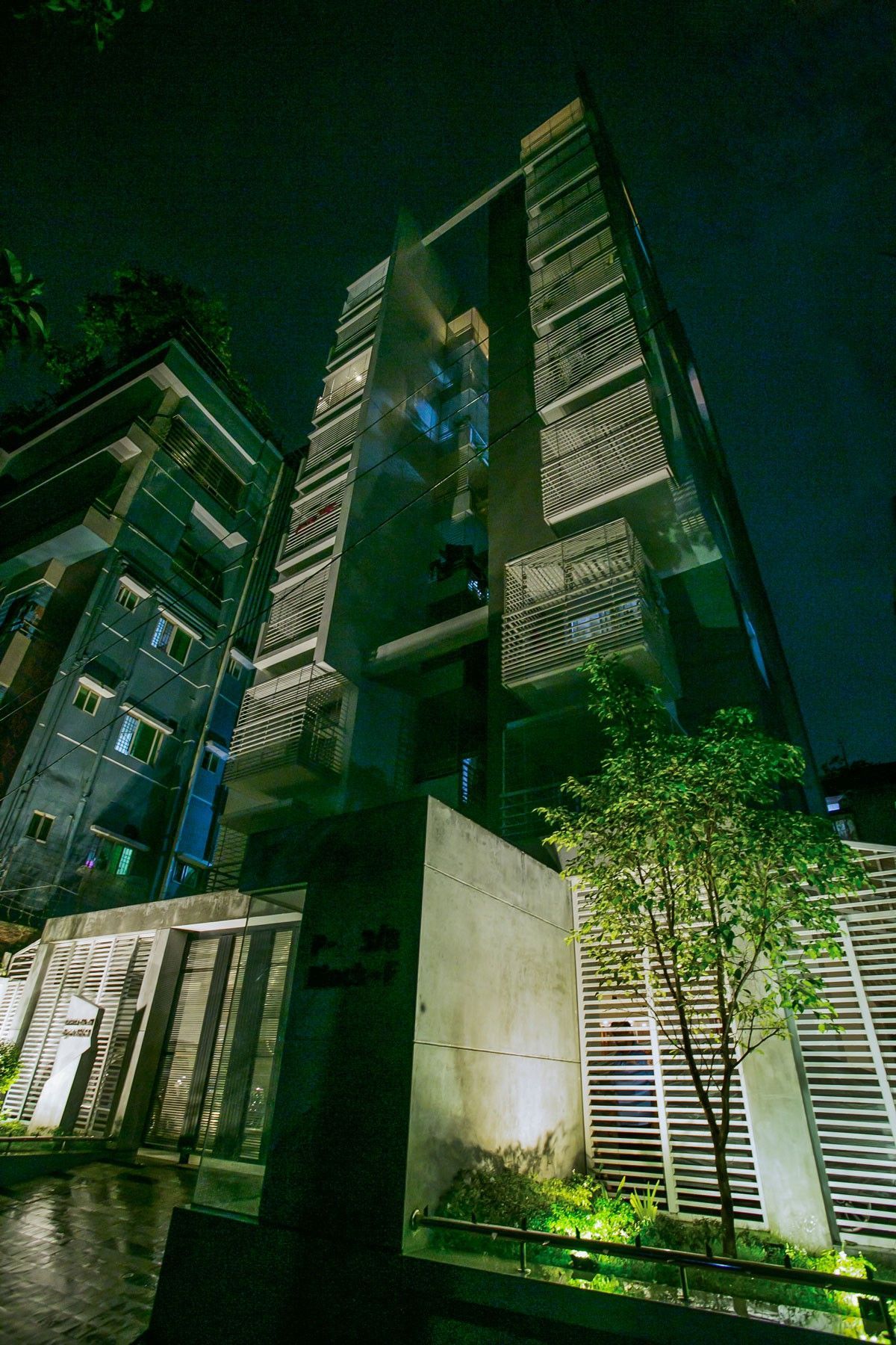 Saleh Sylvatica By Navana — Official project gallery visual 1