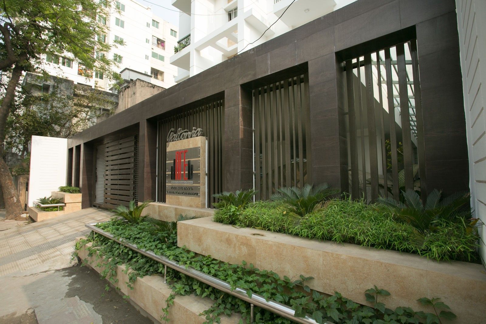 Galtonia By Navana — Official project gallery visual 3