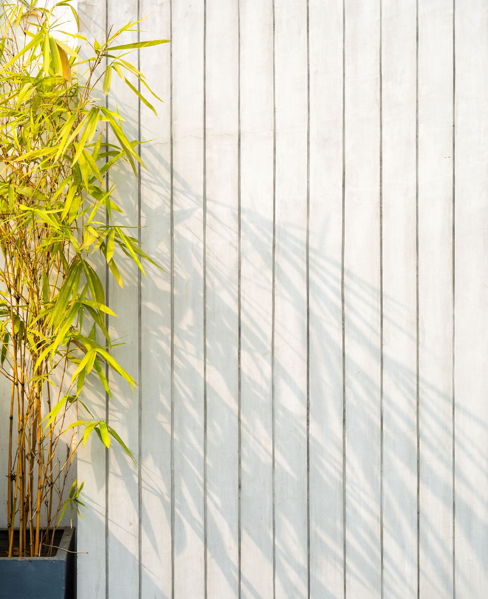 Designo hero background